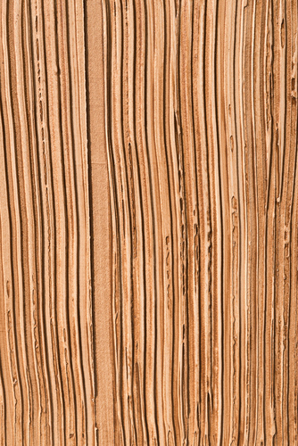 Dekoracyjny tynk elewacyjny, który po nałożeniu do złudzenia przypomina drewno